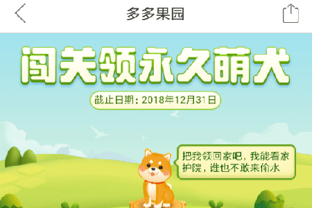 拼多多果園如何養狗？ 果園養狗方法攻略介紹！