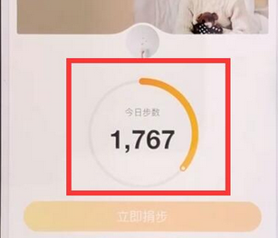 支付寶APP查詢每天運動步數(shù)的具體操作步驟