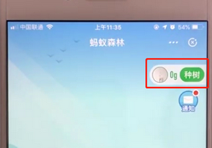 支付寶APP螞蟻森林申請(qǐng)種樹(shù)的詳細(xì)操作步驟