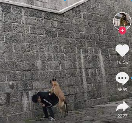 抖音漫畫光頭和尚特效如何拍攝？ 很火的光頭和尚拍攝教程解答！