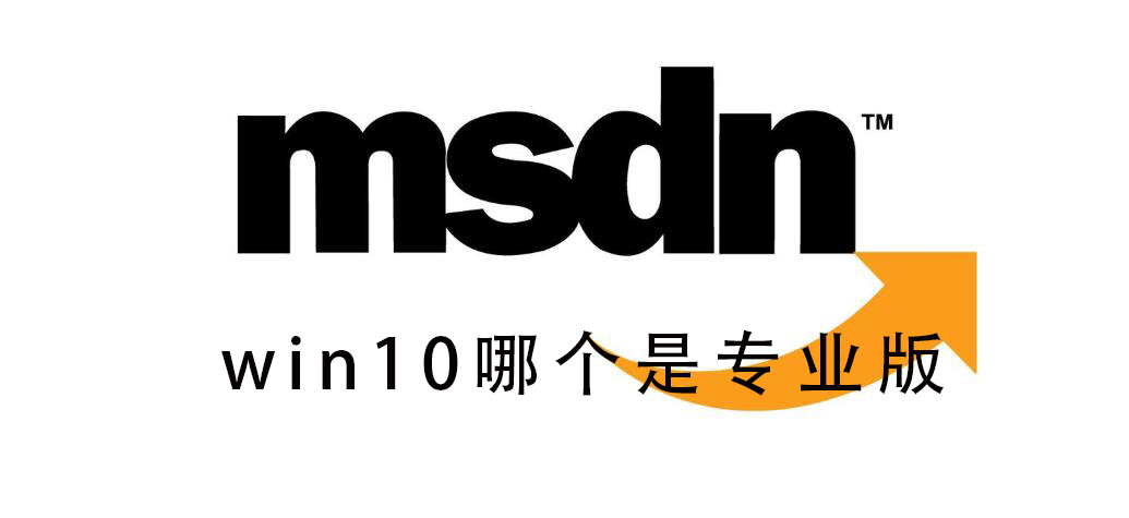 msdn我告訴你win10哪個是專業版