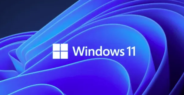 Windows11打開顯卡控制面板方法介紹