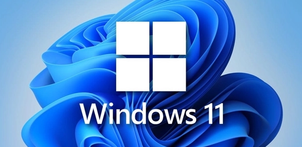 Windows11重設注冊表刷新項步驟介紹