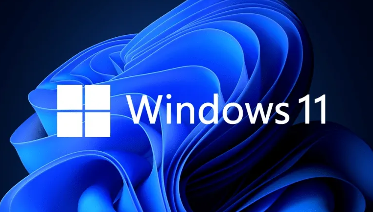 Windows11優(yōu)化磁盤驅(qū)動(dòng)技巧分享