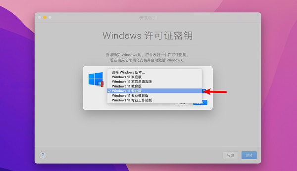 pd17自己下載win11鏡像教程