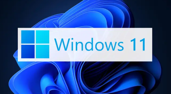 Windows11設置文件后綴名技巧分享