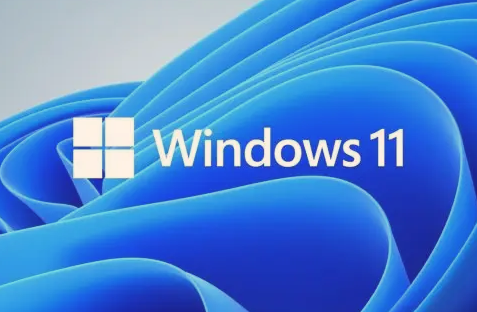 Win11打開任務(wù)管理器黑屏怎么辦