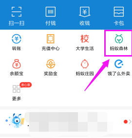 支付寶怎么開啟能量可收取提醒_支付寶開啟能量可收取提醒方法教程支付寶怎么開啟能量可收取提醒_支付寶開啟能量可收取提醒方法教程