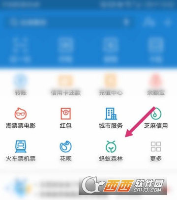 支付寶怎么開(kāi)啟能量可收取提醒 開(kāi)啟收取提醒方法
