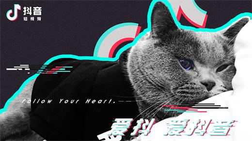 抖音木小雅幻夢在哪里聽 木小雅幻夢歌曲分享