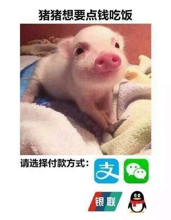 【抖音請選擇扶貧方式表情包】高清無水印圖片分享