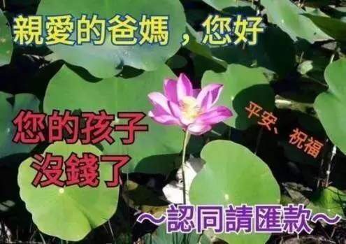 【抖音請選擇扶貧方式表情包】高清無水印圖片分享