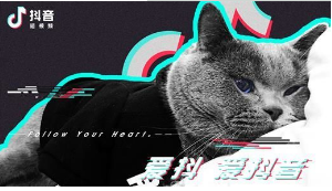 抖音六眼飛魚出自哪里?抖音六眼飛魚來源出處介紹