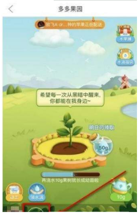 多多果園要怎么添加好友？多多果園添加微信好友教程分享