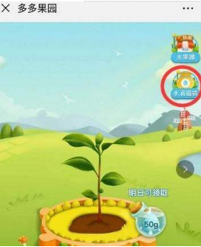 拼多多的多多果園水果郵寄要錢嗎?多多果園水果免費(fèi)郵寄嗎?