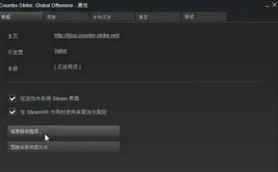 win10玩csgofps不穩(wěn)定解決方法