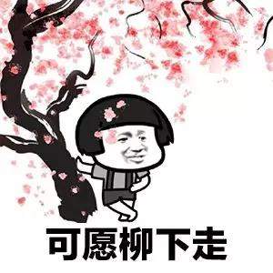 抖音我的將軍啊圖片 我的將軍啊表情包分享