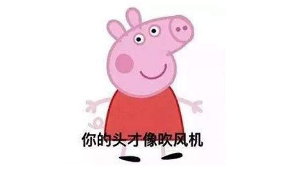 抖音小豬佩奇吹風(fēng)機(jī) 吹風(fēng)機(jī)社會豬為什么火