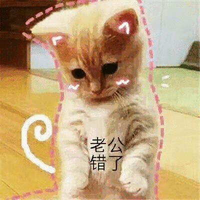 【抖音貓咪哄老公】超萌哄老公無水印表情包