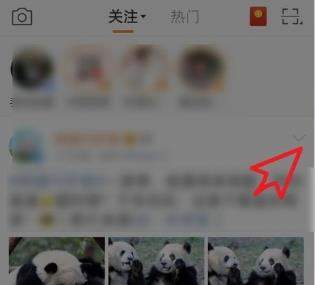 微博關(guān)注的人怎么取消？微博取消關(guān)注的人方法【圖】