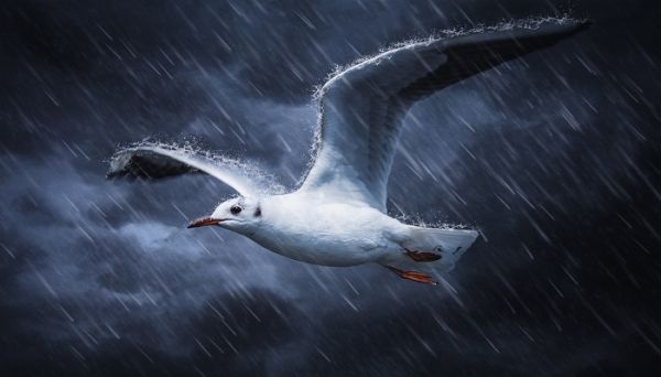 暴雨的說說發(fā)朋友圈 下暴雨怎么發(fā)朋友圈