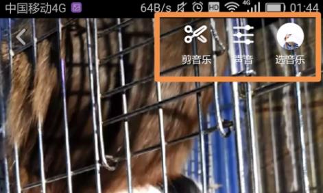 抖音發(fā)布作品詳細(xì)教程