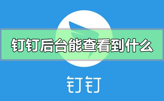 釘釘后臺能查看到什么
