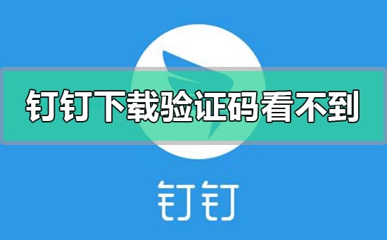 釘釘下載app驗證碼看不到刷不出來怎么辦