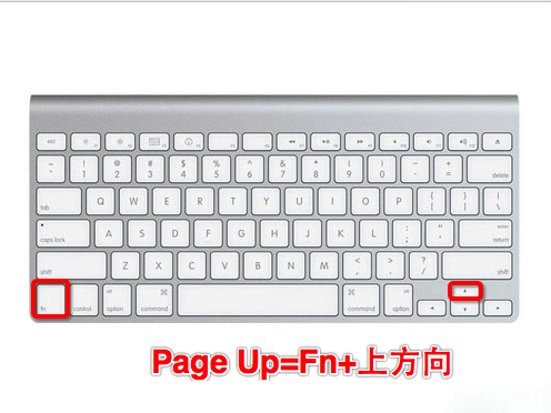 MacOS的Fn鍵有什么用？MacOS中Fn鍵的使用方法
