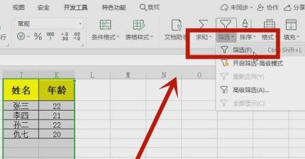 excel篩選出自己想要的數據方法