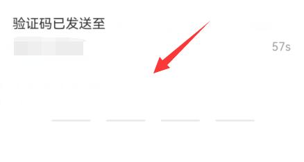 網(wǎng)易云音樂(lè)改密碼教程