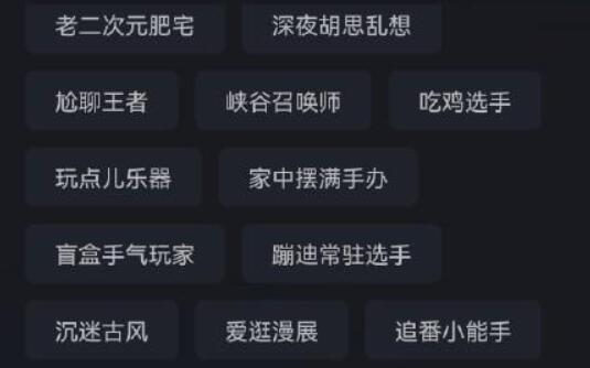 qq結(jié)伴測(cè)試版介紹