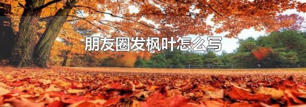 朋友圈發(fā)楓葉怎么寫