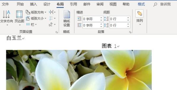 word圖片統(tǒng)一調(diào)整大小方法
