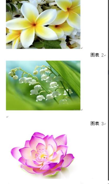 word圖片統(tǒng)一調(diào)整大小方法