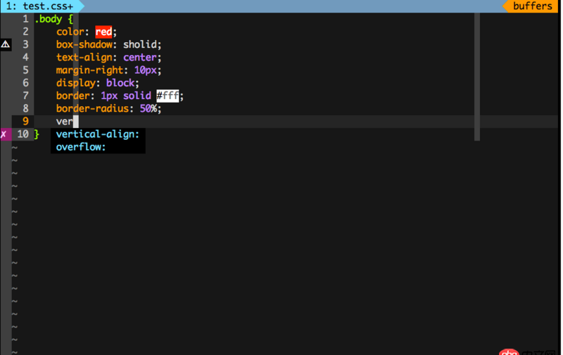 使用 vim 編寫(xiě) css 屬性值沒(méi)有辦法自動(dòng)補(bǔ)全