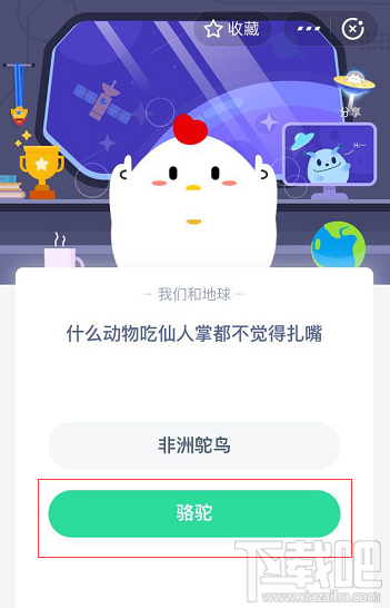 支付寶螞蟻莊園5月25日答案 什么動(dòng)物吃仙人掌都不覺得扎嘴