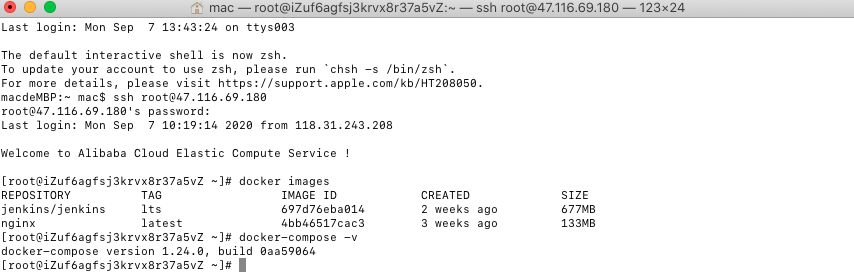 基于Docker、Nginx和Jenkins實現前端自動化部署