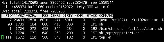 docker 查看jvm內存占用方式