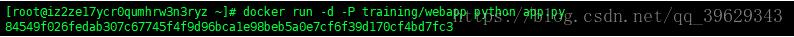 Docker 通過端口來(lái)連接一個(gè)容器的實(shí)現(xiàn)