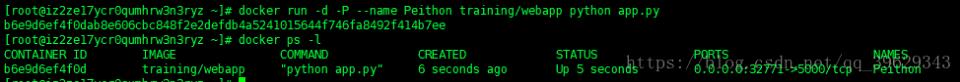 Docker 通過端口來(lái)連接一個(gè)容器的實(shí)現(xiàn)