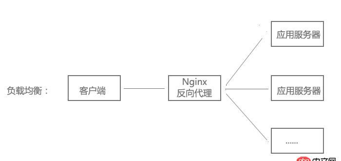 請問什么叫反向代理和負載均衡額，關于Nginx的