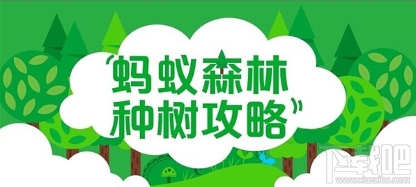 支付寶怎么獲取綠色能量?支付寶獲取綠色能量的新功能