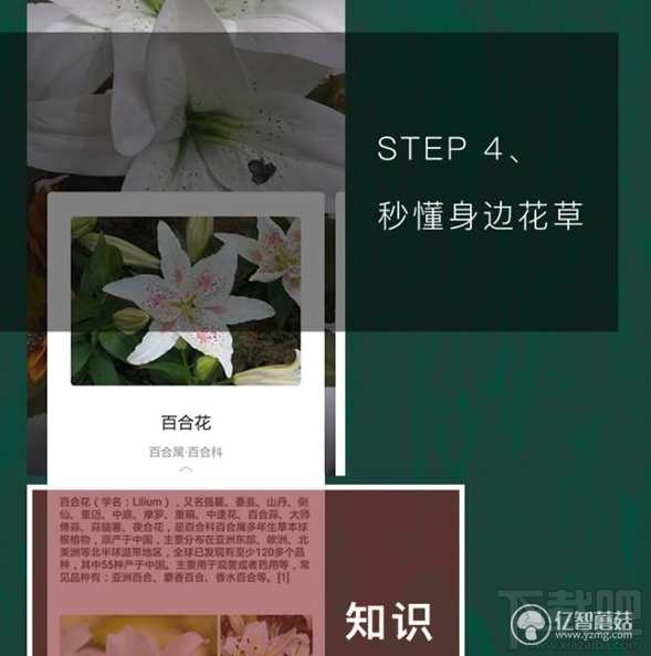 qq瀏覽器怎么識別花草?qq瀏覽器識你所見怎么玩