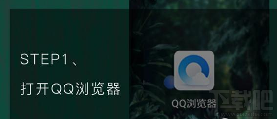 qq瀏覽器怎么識別花草?qq瀏覽器識你所見怎么玩