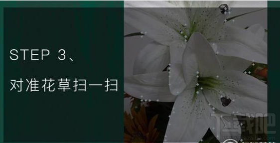 qq瀏覽器怎么識別花草?qq瀏覽器識你所見怎么玩