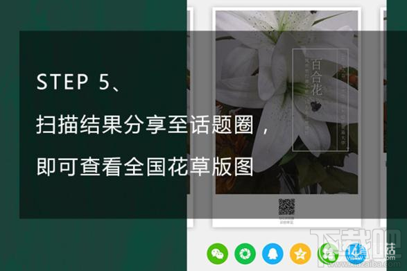 qq瀏覽器怎么識別花草?qq瀏覽器識你所見怎么玩
