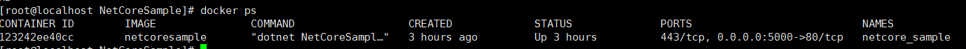 asp.net core應(yīng)用docke部署到centos7的全過(guò)程