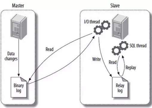 詳解用Docker構(gòu)建MySQL主從環(huán)境