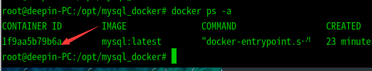 Deepin使用docker安裝mysql數(shù)據(jù)庫過程詳解